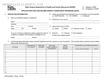 Fill Out a Valid Emergency Lieap Wv Form
