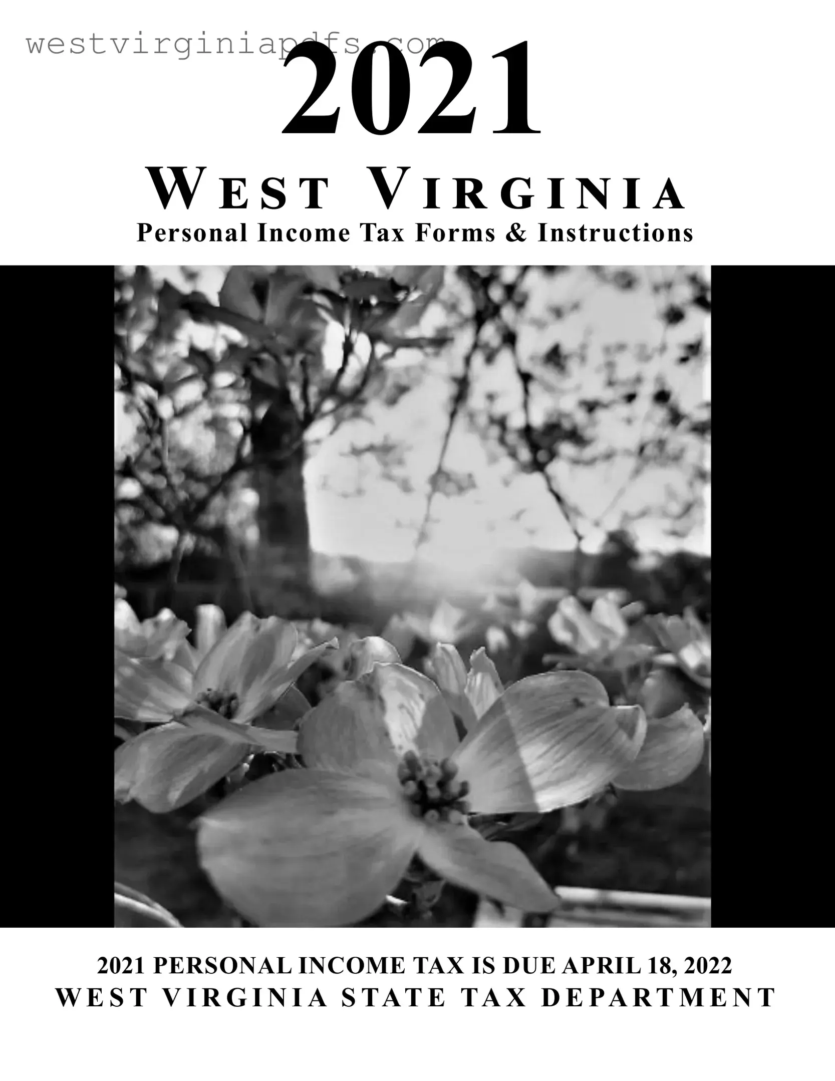 Fill Out a Valid Wv Tax Form